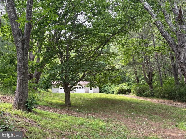 60 Mountain Breeze Ln, Syria, VA 22743 - view of green lawn with a wooded view