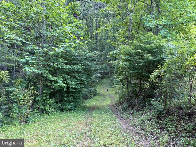 60 Mountain Breeze Ln, Syria, VA 22743 - view of tree filled area