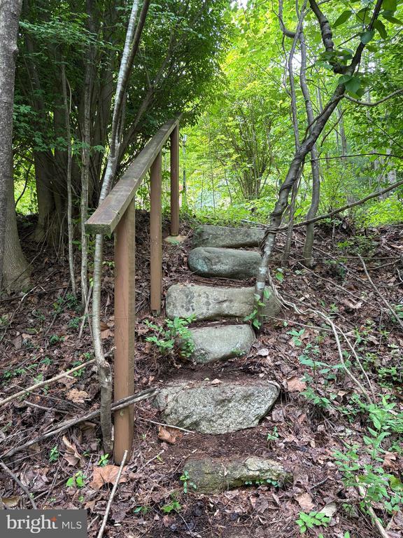 60 Mountain Breeze Ln, Syria, VA 22743 - view of nature