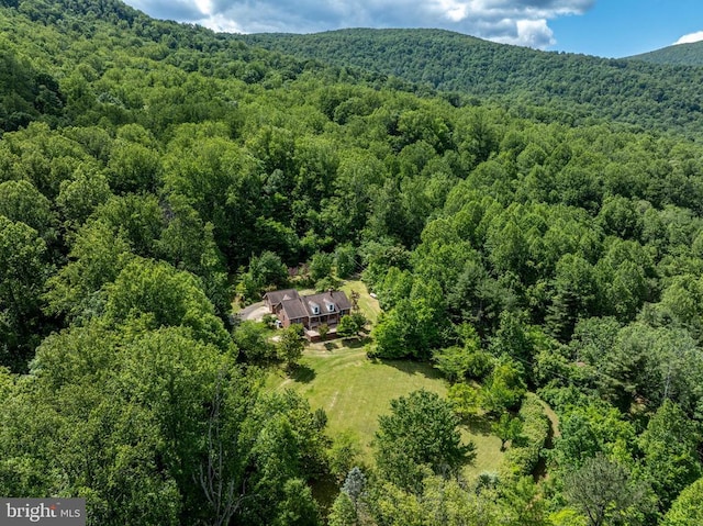60 Mountain Breeze Ln, Syria, VA 22743 - view of subject property featuring a heavily wooded area and mountains