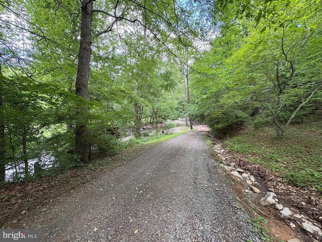 60 Mountain Breeze Ln, Syria, VA 22743 - view of dirt / gravel road featuring a view of trees