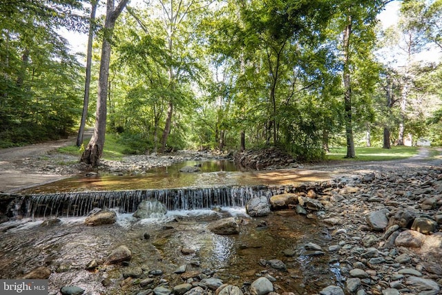 60 Mountain Breeze Ln, Syria, VA 22743 - view of yard