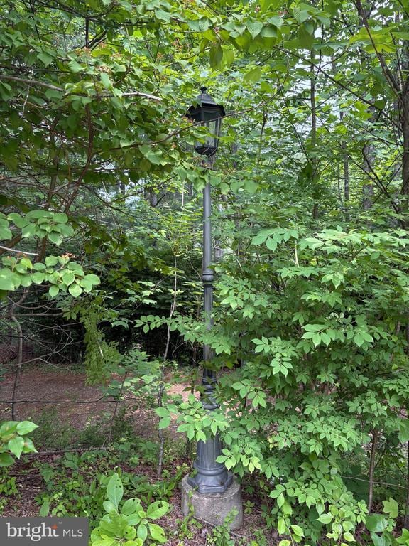 60 Mountain Breeze Ln, Syria, VA 22743 - view of nature