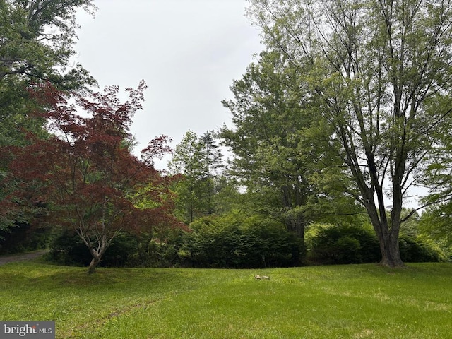 60 Mountain Breeze Ln, Syria, VA 22743 - view of grassy yard