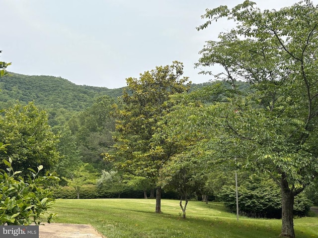 60 Mountain Breeze Ln, Syria, VA 22743 - view of grassy yard with a view of trees