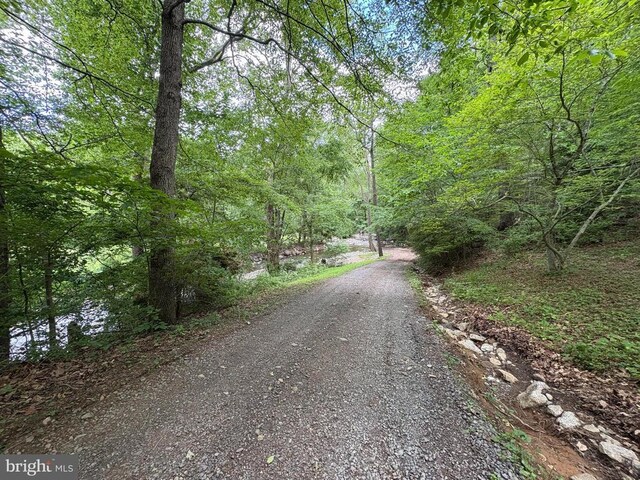 60 Mountain Breeze Ln, Syria, VA 22743 - view of dirt / gravel road with a view of trees