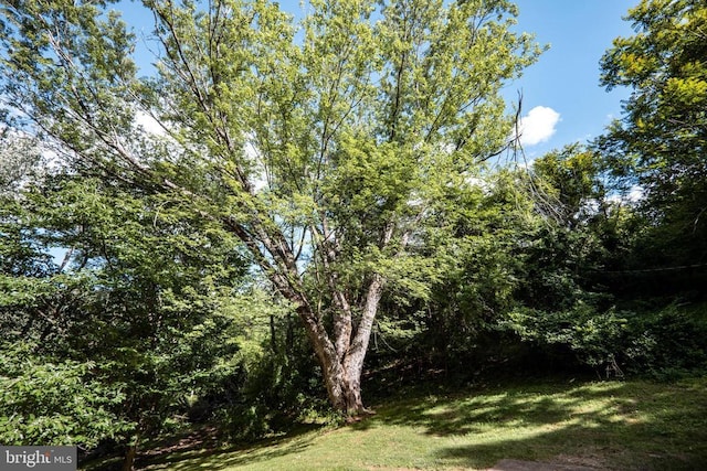 60 Mountain Breeze Ln, Syria, VA 22743 - view of green lawn