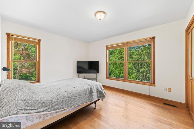 60 Mountain Breeze Ln, Syria, VA 22743 - bedroom featuring light wood finished floors and baseboards