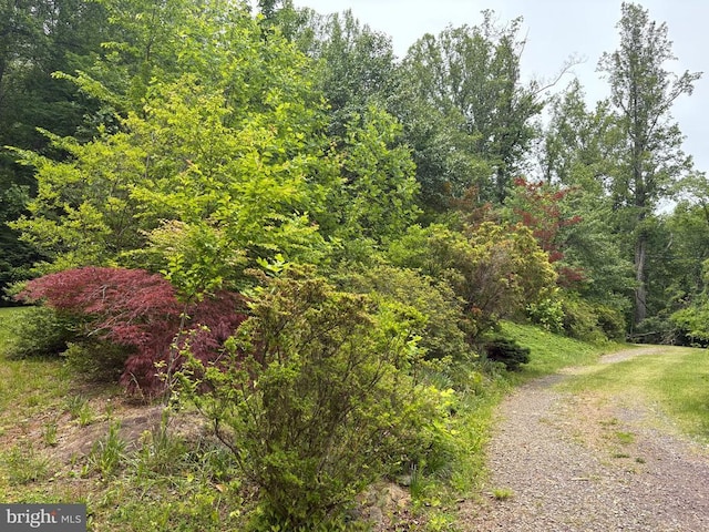 60 Mountain Breeze Ln, Syria, VA 22743 - view of tree filled area