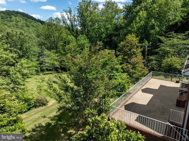 60 Mountain Breeze Ln, Syria, VA 22743 - drone / aerial view of a heavily wooded area