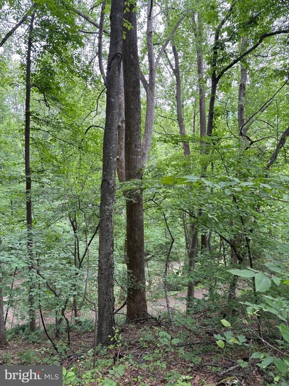 60 Mountain Breeze Ln, Syria, VA 22743 - view of woods