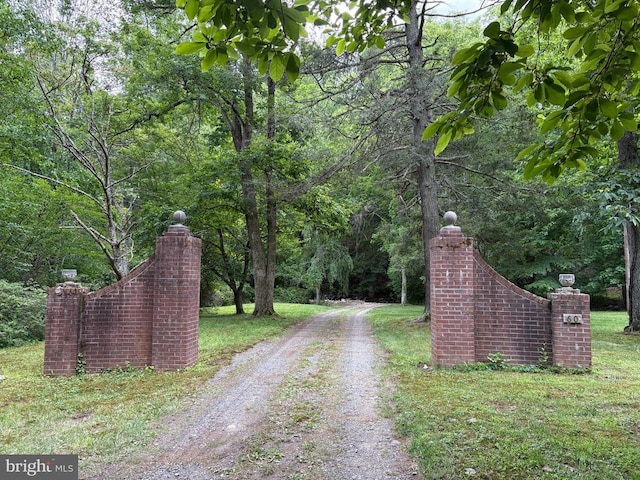 60 Mountain Breeze Ln, Syria, VA 22743 - view of street with a forest view