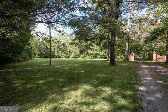60 Mountain Breeze Ln, Syria, VA 22743 - view of green lawn