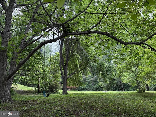 60 Mountain Breeze Ln, Syria, VA 22743 - view of community featuring a forest view