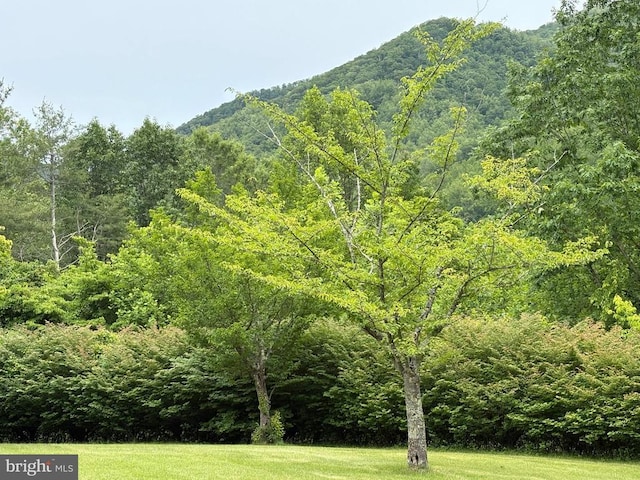 60 Mountain Breeze Ln, Syria, VA 22743 - view of yard featuring a forest view and a mountain view