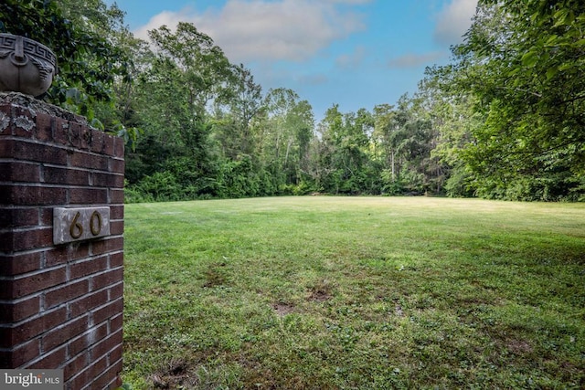 60 Mountain Breeze Ln, Syria, VA 22743 - view of green lawn
