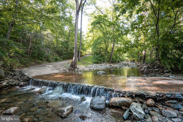 60 Mountain Breeze Ln, Syria, VA 22743 - view of community with a forest view