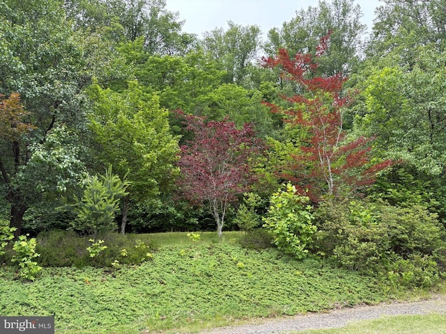 60 Mountain Breeze Ln, Syria, VA 22743 - view of yard with a view of trees