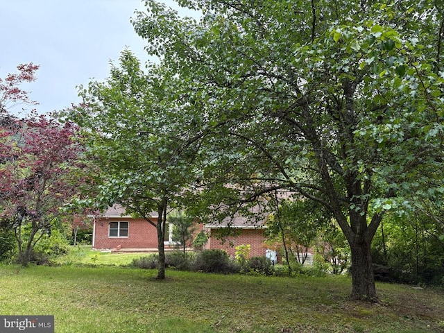 60 Mountain Breeze Ln, Syria, VA 22743 - view of yard