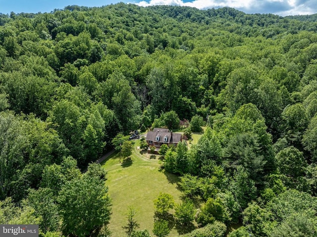 60 Mountain Breeze Ln, Syria, VA 22743 - view from above of property featuring a heavily wooded area