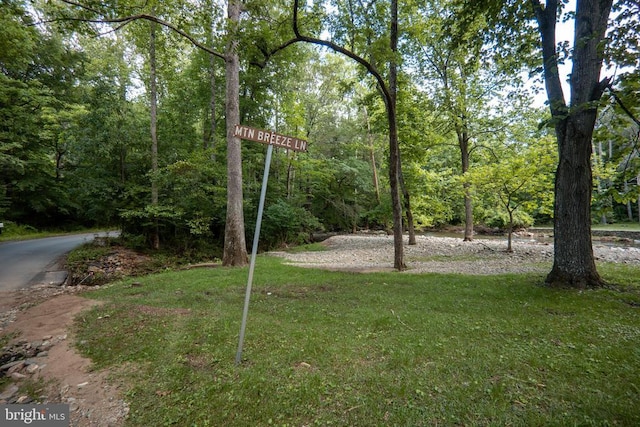 60 Mountain Breeze Ln, Syria, VA 22743 - view of grassy yard with a forest view