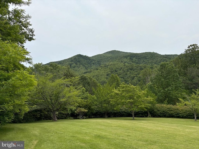 60 Mountain Breeze Ln, Syria, VA 22743 - view of mountain backdrop with a forest