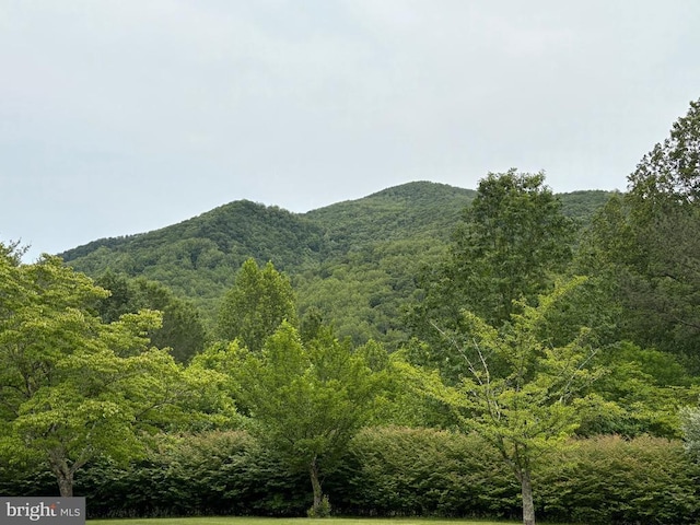 60 Mountain Breeze Ln, Syria, VA 22743 - view of mountain backdrop featuring a heavily wooded area