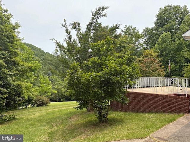 60 Mountain Breeze Ln, Syria, VA 22743 - view of grassy yard with a view of trees