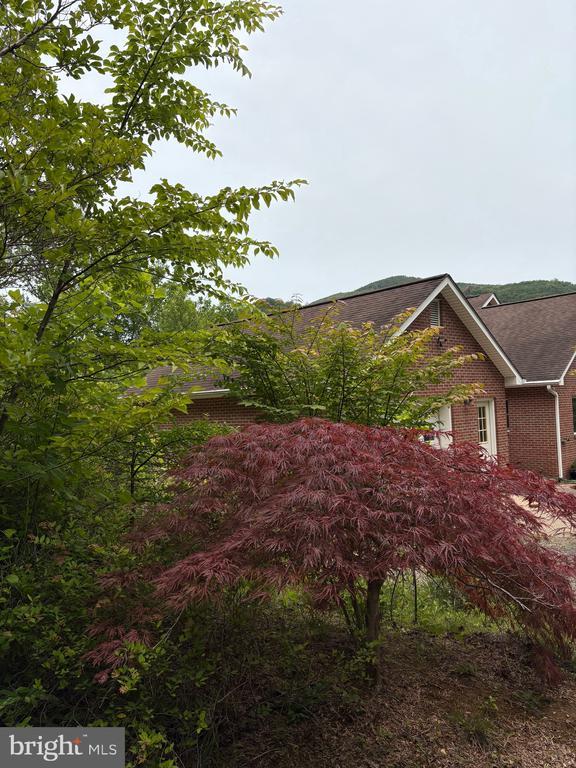 60 Mountain Breeze Ln, Syria, VA 22743 - view of home's exterior with brick siding and roof with shingles