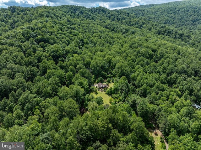 60 Mountain Breeze Ln, Syria, VA 22743 - aerial view of a heavily wooded area