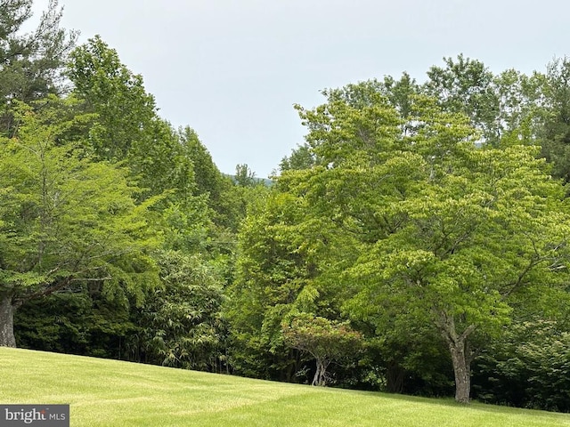 60 Mountain Breeze Ln, Syria, VA 22743 - view of grassy yard with a forest view