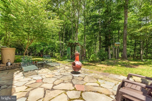 17277 Kettlebrook Lndg, Jeffersonton, VA 22724 - view of patio