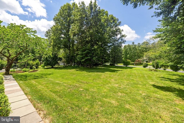 17277 Kettlebrook Lndg, Jeffersonton, VA 22724 - view of grassy yard