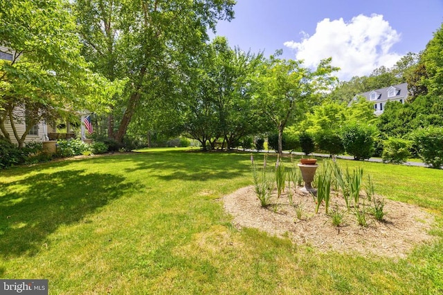 17277 Kettlebrook Lndg, Jeffersonton, VA 22724 - view of grassy yard featuring view of wooded area