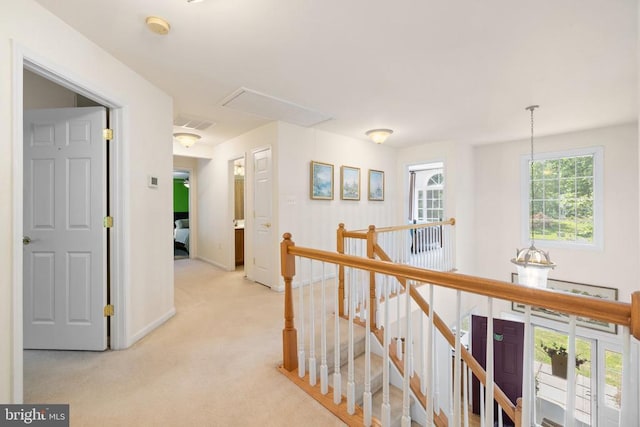 17277 Kettlebrook Lndg, Jeffersonton, VA 22724 - hall with an upstairs landing, attic access, and light carpet