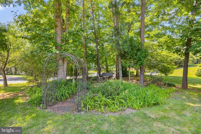 17277 Kettlebrook Lndg, Jeffersonton, VA 22724 - view of green lawn