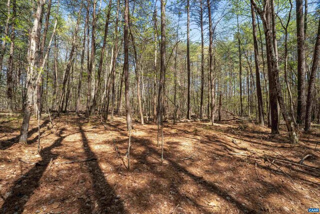 LOT27 Martin Kings Rd, Charlottesville, VA 22902