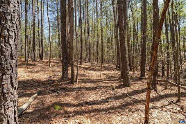 LOT27 Martin Kings Rd, Charlottesville, VA 22902