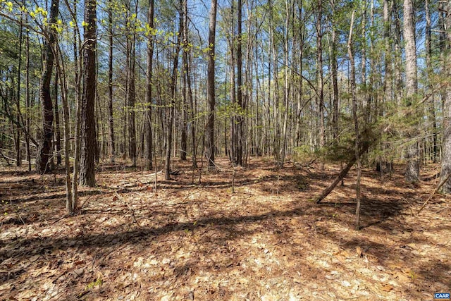 LOT27 Martin Kings Rd, Charlottesville, VA 22902