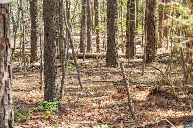 LOT27 Martin Kings Rd, Charlottesville, VA 22902