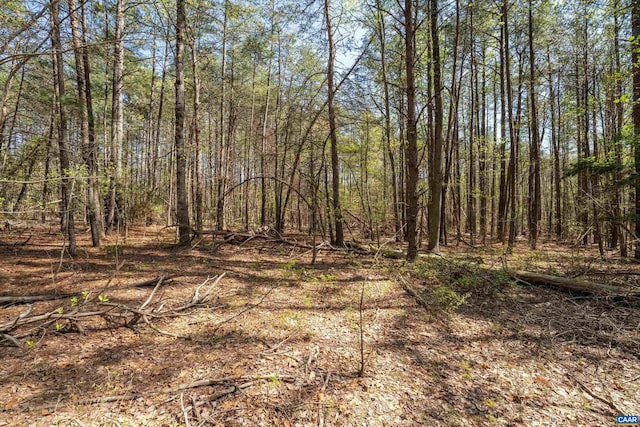 LOT27 Martin Kings Rd, Charlottesville, VA 22902