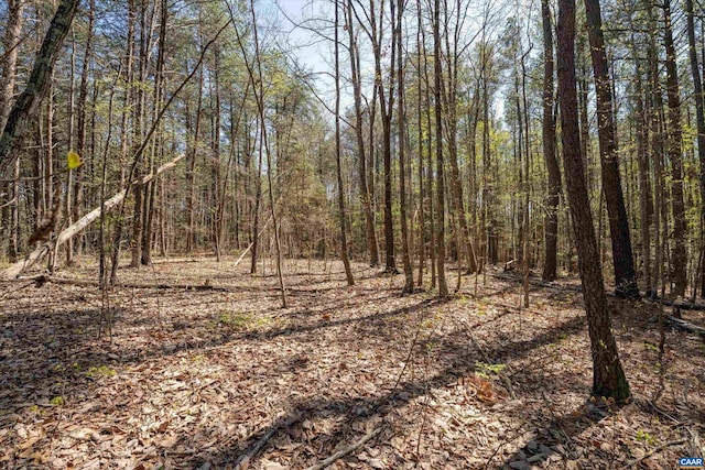 LOT27 Martin Kings Rd, Charlottesville, VA 22902