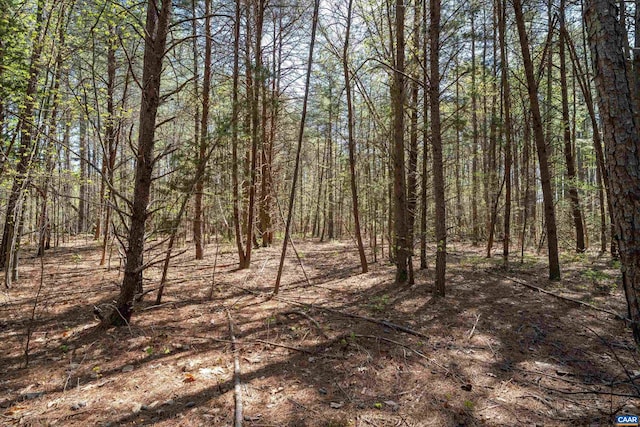 LOT27 Martin Kings Rd, Charlottesville, VA 22902