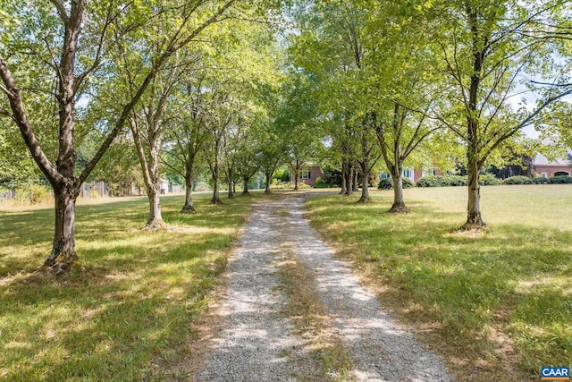 14186 Devils Three Jump Rd, Milford, VA 22514 - photo 41
