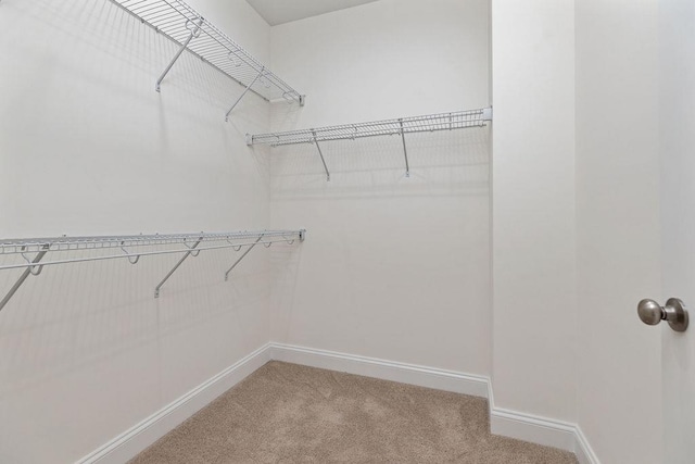 1717 A St, Waynesboro, VA 22980 - photo 21