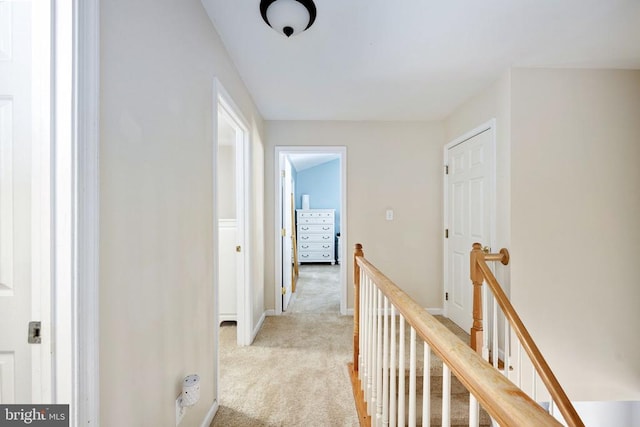 8804 Kent Ct, Fredericksburg, VA 22408 - photo 34