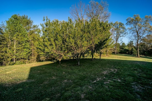 347 Enterprise Rd, Churchville, VA 24421 - photo 72