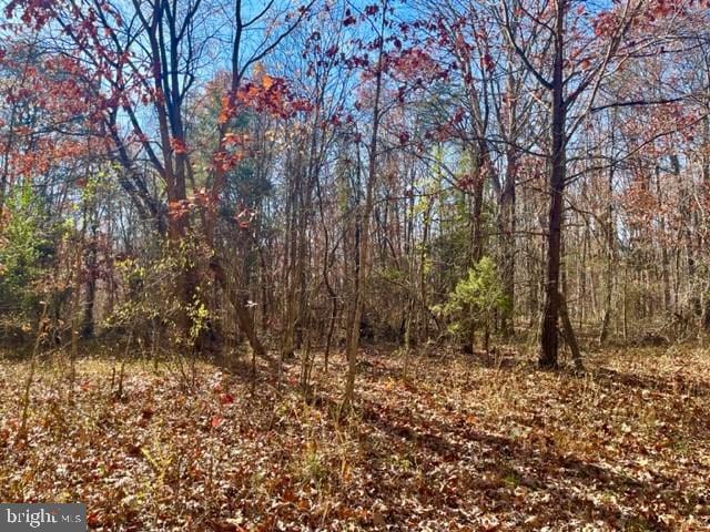 Egypt Bend Rd, Luray, VA 22835 - photo 1