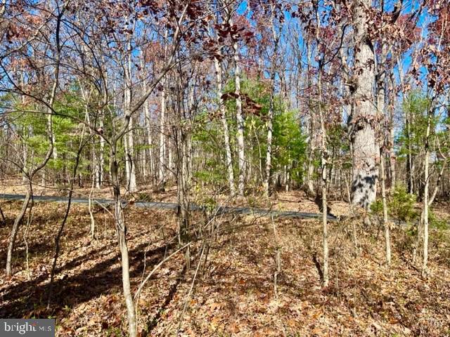 Egypt Bend Rd, Luray, VA 22835 - photo 3
