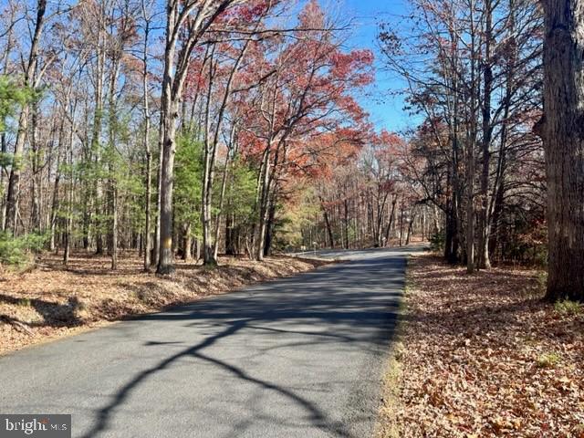 Egypt Bend Rd, Luray, VA 22835 - photo 2